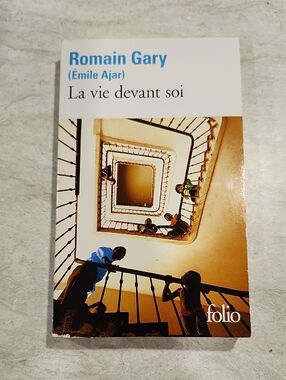 Romain Gary "La vie devant soi" Paperback — French Novel